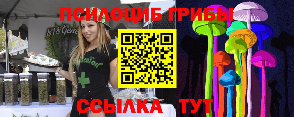 Галлюциногенные грибы Magic Shrooms Ногинск